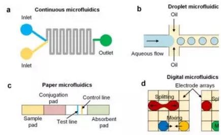 氯胺酮的抗抑郁效果或與腸-腦軸相關(guān)