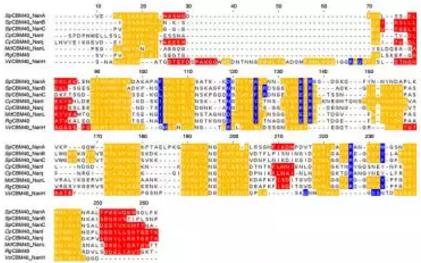 設(shè)計PPI治療方案，多考慮點