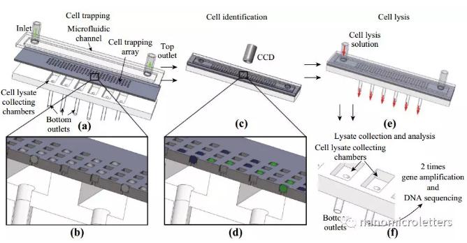 微流控芯片原理及其操作圖