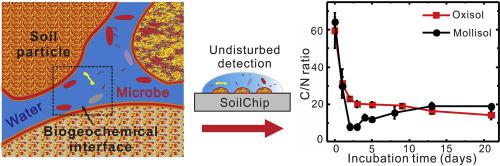 采用濕潤(rùn)性圖案化微流控芯片技術(shù)用于土壤生物地球化學(xué)界面的形成過程研究