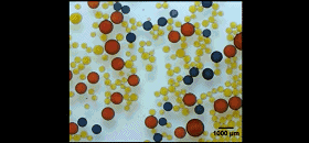 圖2. 液滴對外加磁場的響應(yīng)。圖片來源：Nature