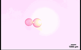 圖4. “齒輪”型液滴機械系統(tǒng)。