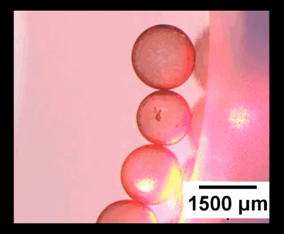 圖4. “齒輪”型液滴機械系統(tǒng)。