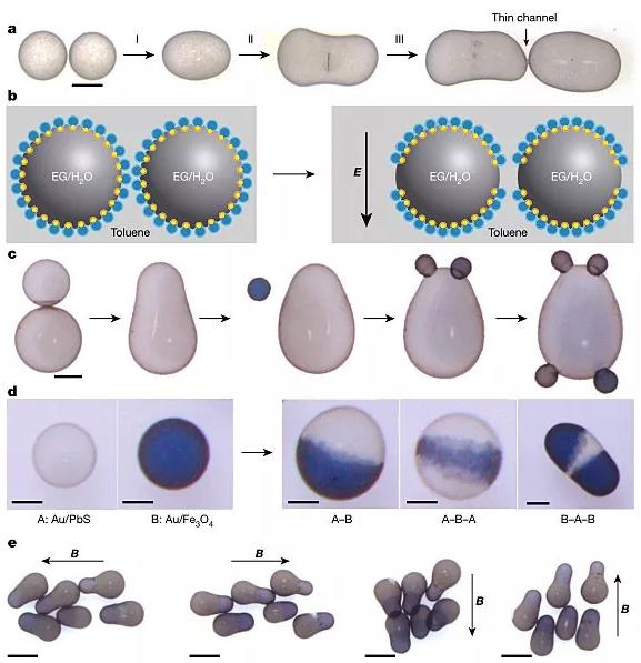 圖5. 基于靜電“焊接”設(shè)計與開發(fā)復雜非球型液滴。