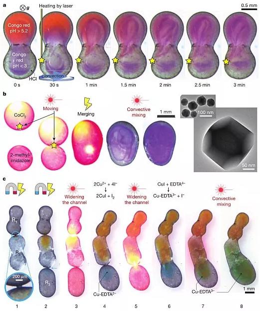圖6. 動態(tài)控制的液滴化學反應(yīng)器。圖片來源：Nature