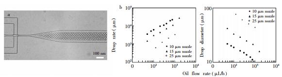 圖4 液滴產生過程中的穩(wěn)定性 