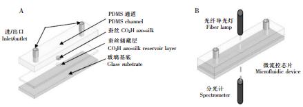 圖 3 基于 PDMS 材質(zhì)的可穿戴式的汗液 pH 檢測芯片 圖 3 基于 PDMS 材質(zhì)的可穿戴式的汗液 pH 檢測芯片