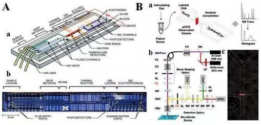 圖5：分析cNAs的微流控系統(tǒng)