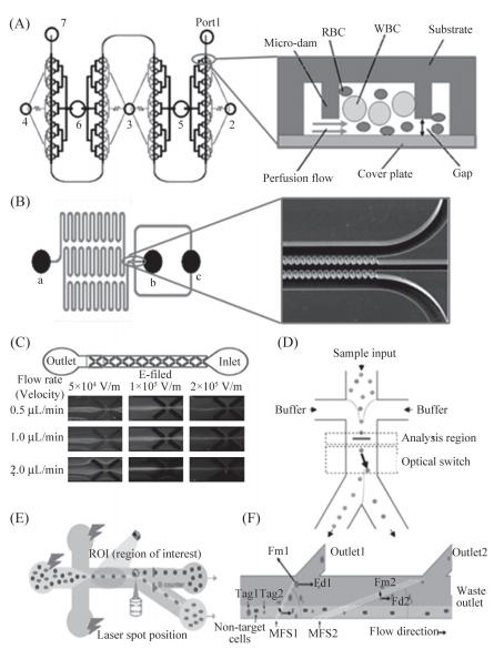 分選血細(xì)胞的PMMA微流控芯片