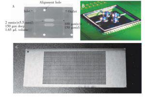 圖1&nbsp; 微池型 PCR芯片: (A) 單反應池 PCR芯片，(B) 液滴虛擬微池 PCR芯片， (C) 微池陣列 PCR芯片