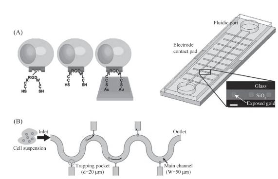 圖6單細胞捕獲示意圖