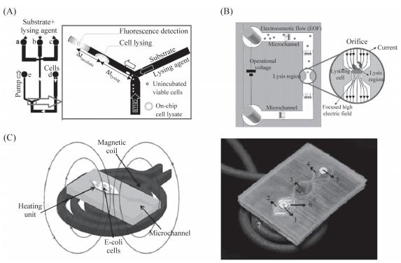 圖3細胞裂解裝置示意圖