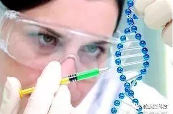 微流控技術(shù)在基因分析研究中的應(yīng)用