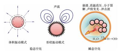 圖2單個(gè)氣泡的聲空化行為