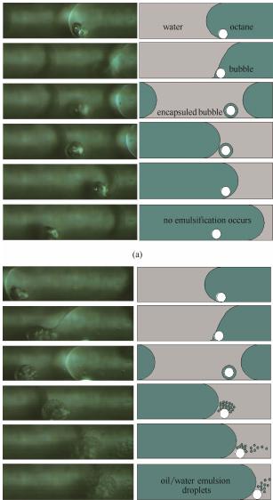 圖8超聲微反應(yīng)器內(nèi)的空化致乳效應(yīng)