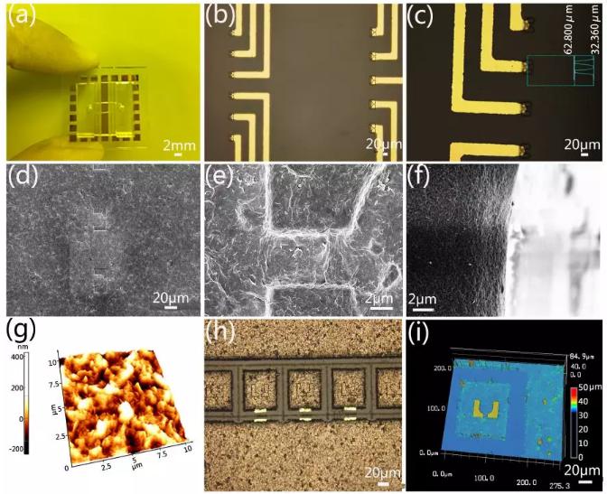 微流控芯片的實(shí)物圖