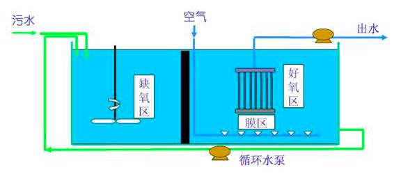 微流控生物反應(yīng)器的前景