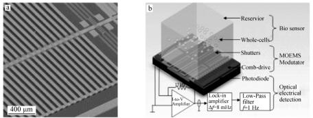 圖2整合的微光電機械系統(tǒng)(MOEMS)(a)和細胞傳感生物傳感芯片實驗室系統(tǒng)(b) 圖2整合的微光電機械系統(tǒng)(MOEMS)(a)和細胞傳感生物傳感芯片實驗室系統(tǒng)(b)