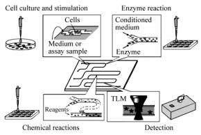圖5基于微芯片的生物分析系統(tǒng) 圖5基于微芯片的生物分析系統(tǒng)