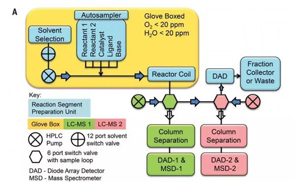 連續(xù)流平臺(tái)的自動(dòng)取樣-反應(yīng)-分析平臺(tái)示意圖?？紤]到待測的化學(xué)物質(zhì)可能對空氣和濕度敏感，作者將反應(yīng)器組裝在手套箱環(huán)境中（圖片來源：《科學(xué)》）