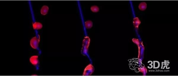 科學(xué)家借“空中微流體”技術(shù)成功打印出3D打印的活細(xì)胞 科學(xué)家借“空中微流體”技術(shù)成功打印出3D打印的活細(xì)胞