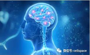 從實(shí)際應(yīng)用出發(fā)，讓標(biāo)志物助力精準(zhǔn)診斷