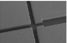 熱固性聚酯（TPE）   微流控芯片