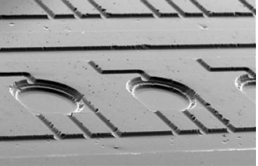 來(lái)自Gong等煩人多重集成PCR原型