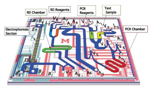 來(lái)自Pal等具有集成電泳分析的微流控PCR芯片，