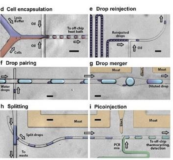 用于單細(xì)胞分析的微流體液滴qRT-PCR裝置來(lái)自Eastburn等，Analytical Chemistry，2013