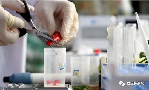 食品安全檢測市場發(fā)展趨勢分析 快速檢測市場前景樂觀