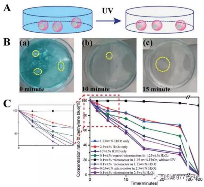 圖4. 自驅(qū)動(dòng)顆粒的亞甲基藍(lán)降解研究