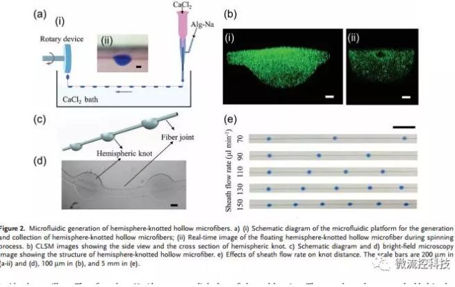 微流控免油紡絲法制備具有不同結(jié)點(diǎn)和可灌注通道的仿項鏈微纖維