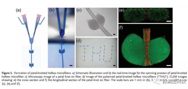 微流控免油紡絲法制備具有不同結(jié)點(diǎn)和可灌注通道的仿項鏈微纖維
