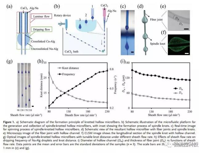 微流控免油紡絲法制備具有不同結(jié)點(diǎn)和可灌注通道的仿項鏈微纖維