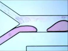 液滴生成與操作