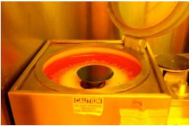 旋轉(zhuǎn)涂布機(jī)的照片