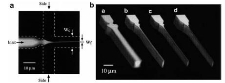 流動(dòng)聚焦微流體混合
