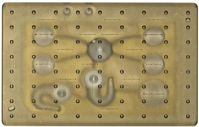 開放式微流控系統(tǒng)：同時研究多個器官系統(tǒng)上的藥物效應(yīng)