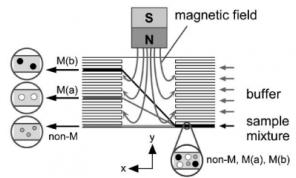 用于連續(xù)微流體顆粒分選的大塊磁體