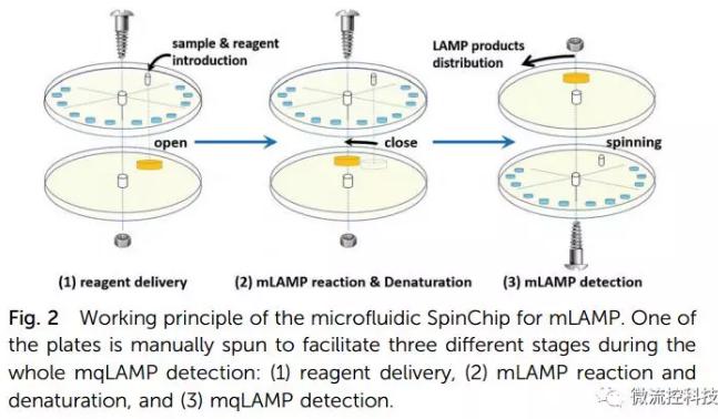 紙基聚合物基混合可旋轉微流控芯片實現(xiàn)多種傳染性疾病的及時定量診斷 紙基聚合物基混合可旋轉微流控芯片實現(xiàn)多種傳染性疾病的及時定量診斷