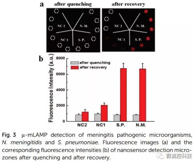 紙基聚合物基混合可旋轉微流控芯片實現(xiàn)多種傳染性疾病的及時定量診斷 紙基聚合物基混合可旋轉微流控芯片實現(xiàn)多種傳染性疾病的及時定量診斷