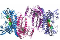 芯片實(shí)驗(yàn)室和蛋白質(zhì)組學(xué)