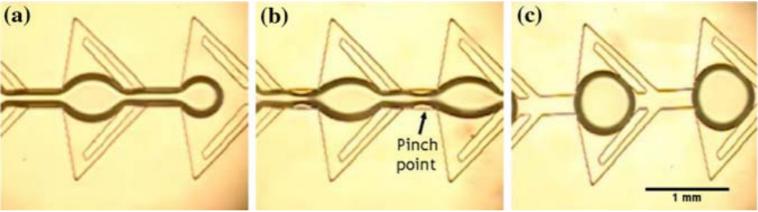 圖4：顯示由于微流體裝置中特別設(shè)計(jì)的通道幾何形狀而在油中形成水滴的圖像。（a）顯示水流通過狹窄的通道夾點(diǎn)時(shí)存在較薄的流體流。（b）示出了在水流停止之后，夾點(diǎn)中的水變得不穩(wěn)定并且開始中斷水的連續(xù)性。（c）顯示了所形成的單分散水滴的形成。Wu等人的圖片&nbsp;“靜態(tài)條件下微通道中液滴的形成”。