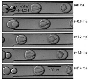 顯示通過氯化鐵溶液液滴與氫氧化銨液滴在通道旁邊的電極施加的電場的影響下形成氧化鐵納米顆粒的圖像。來自Frenz等人的圖片 “用于合成磁性氧化鐵納米粒子的基于液滴的微反應(yīng)器”