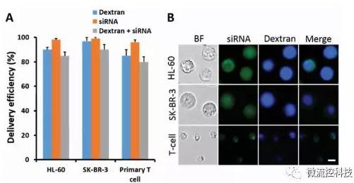微流控芯片技術助力免疫治療，將CRISPR體系傳遞到人類T細胞