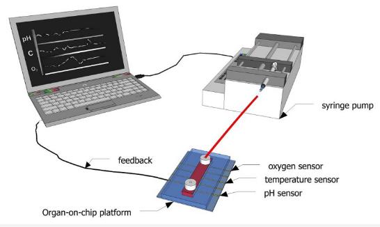 圖1：示意圖顯示了如何使用傳感器連續(xù)監(jiān)測微流體通道內(nèi)的生化參數(shù)。