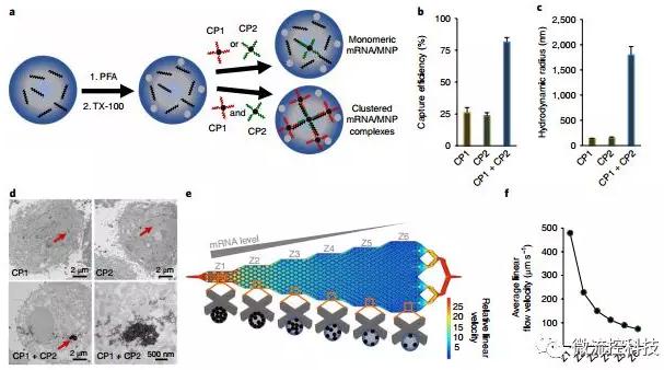 基于微流控芯片的新型的液體活檢技術(shù)