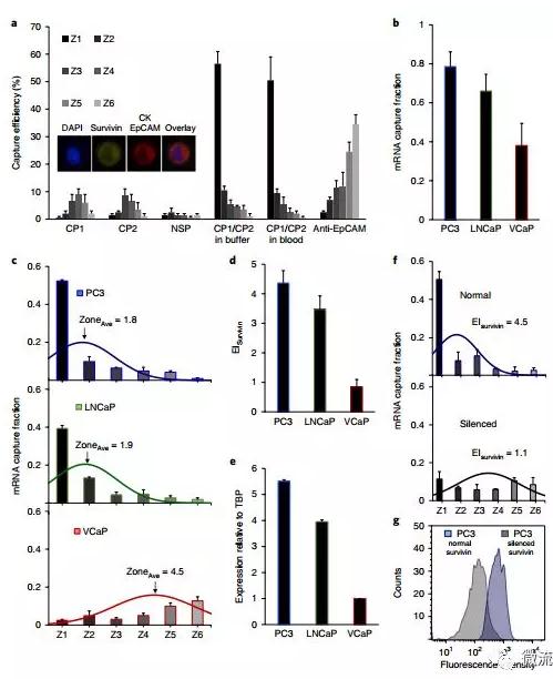 基于微流控芯片的新型液體活檢技術(shù)，助力前列腺癌診療
