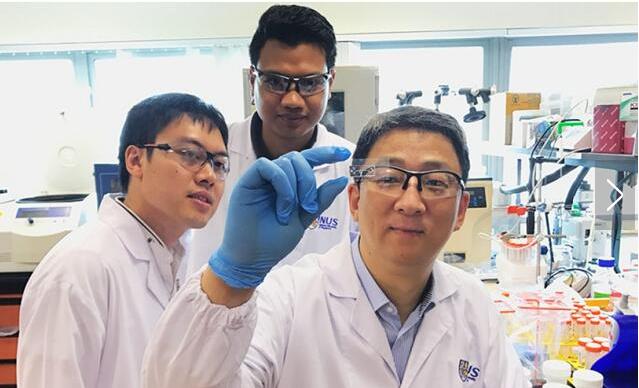 微流控技術(shù)使得低成本無(wú)標(biāo)記疾病診斷成為可能 微流控技術(shù)使得低成本無(wú)標(biāo)記疾病診斷成為可能